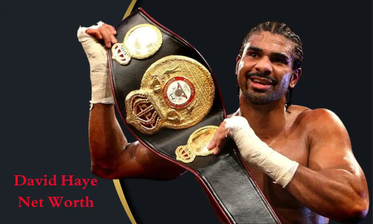 David Haye Net Worth